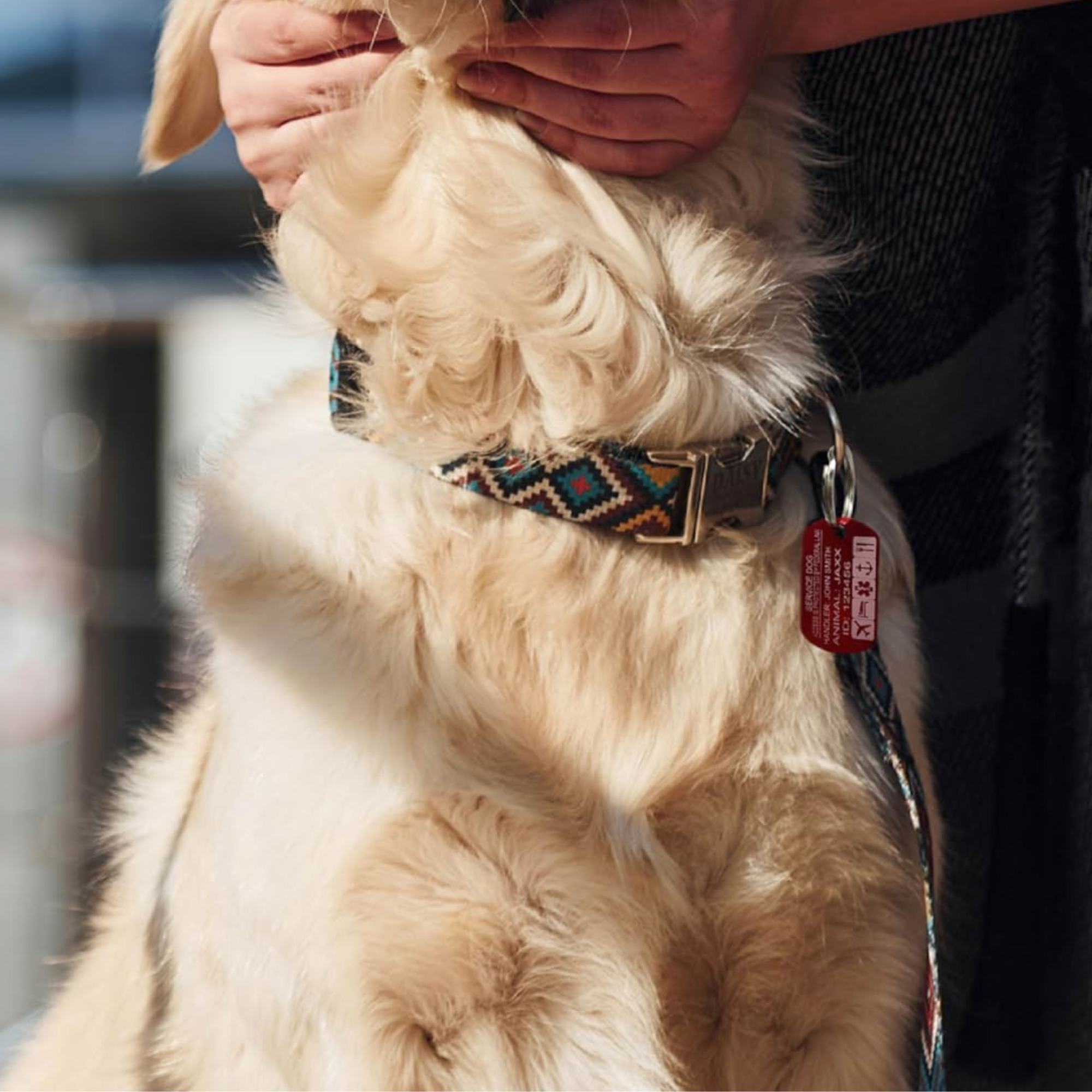 Service Dog ID Tag – Personalized Emergency Alert Necklace