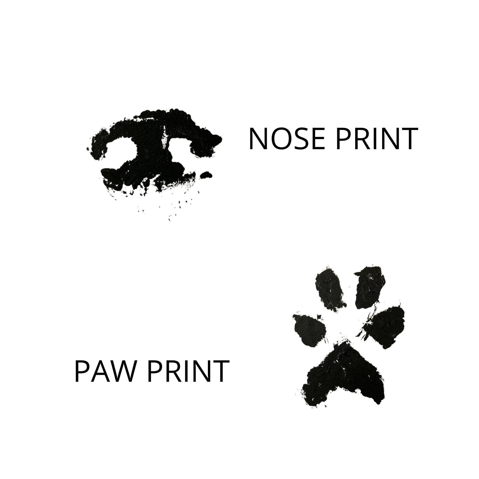 ๐พ Custom Paw Print Necklace โ Personalized Gift for Pet Lovers