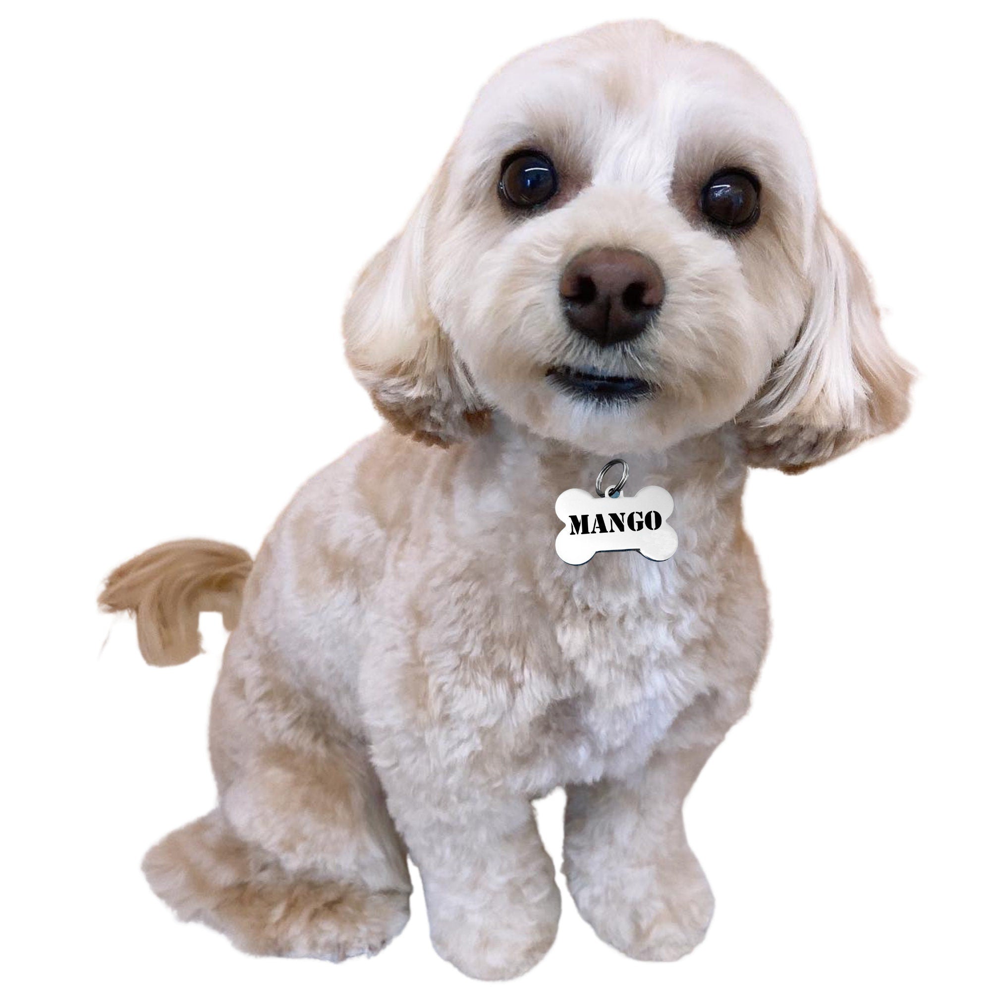 Dog Tag, Engraved Custom Pet, Dog, Cat ID Tags, Cute Personalized Bone Dogs Name