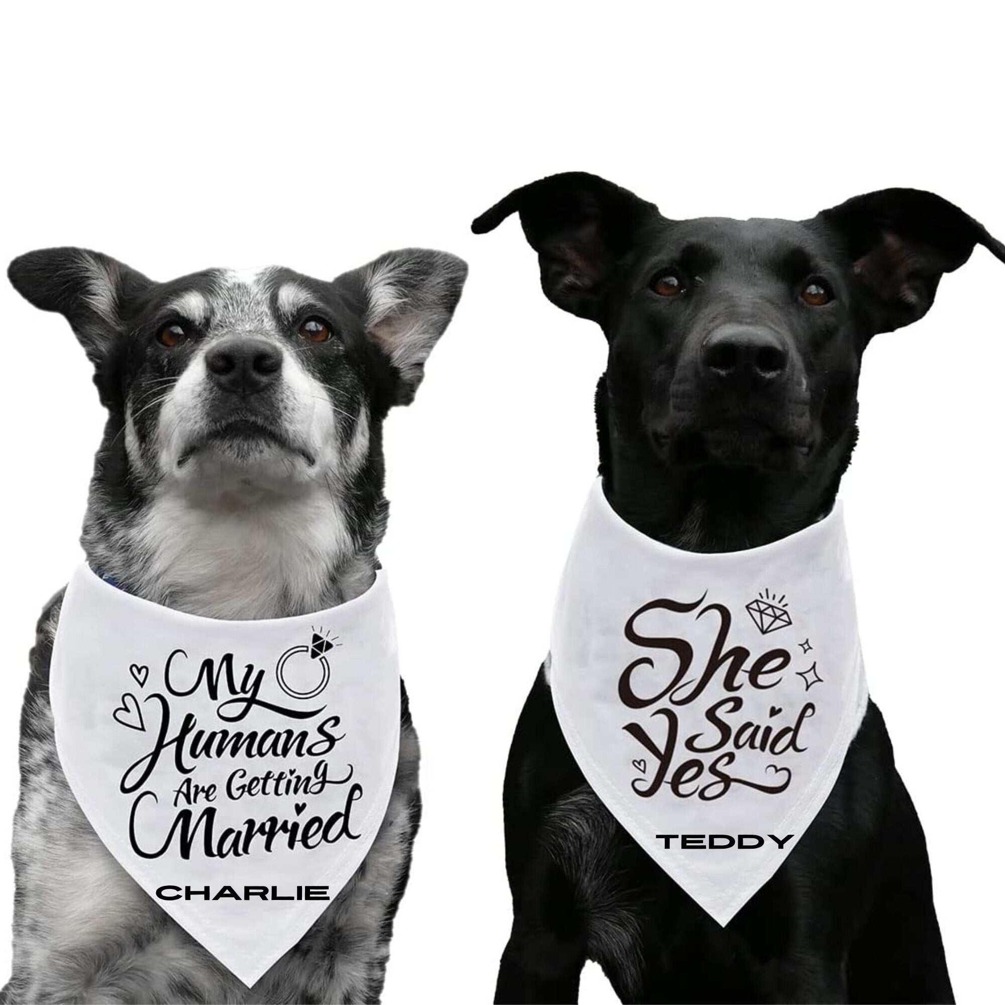 Custom Dog Bandana Wedding Engagement Sign – She Said Yes