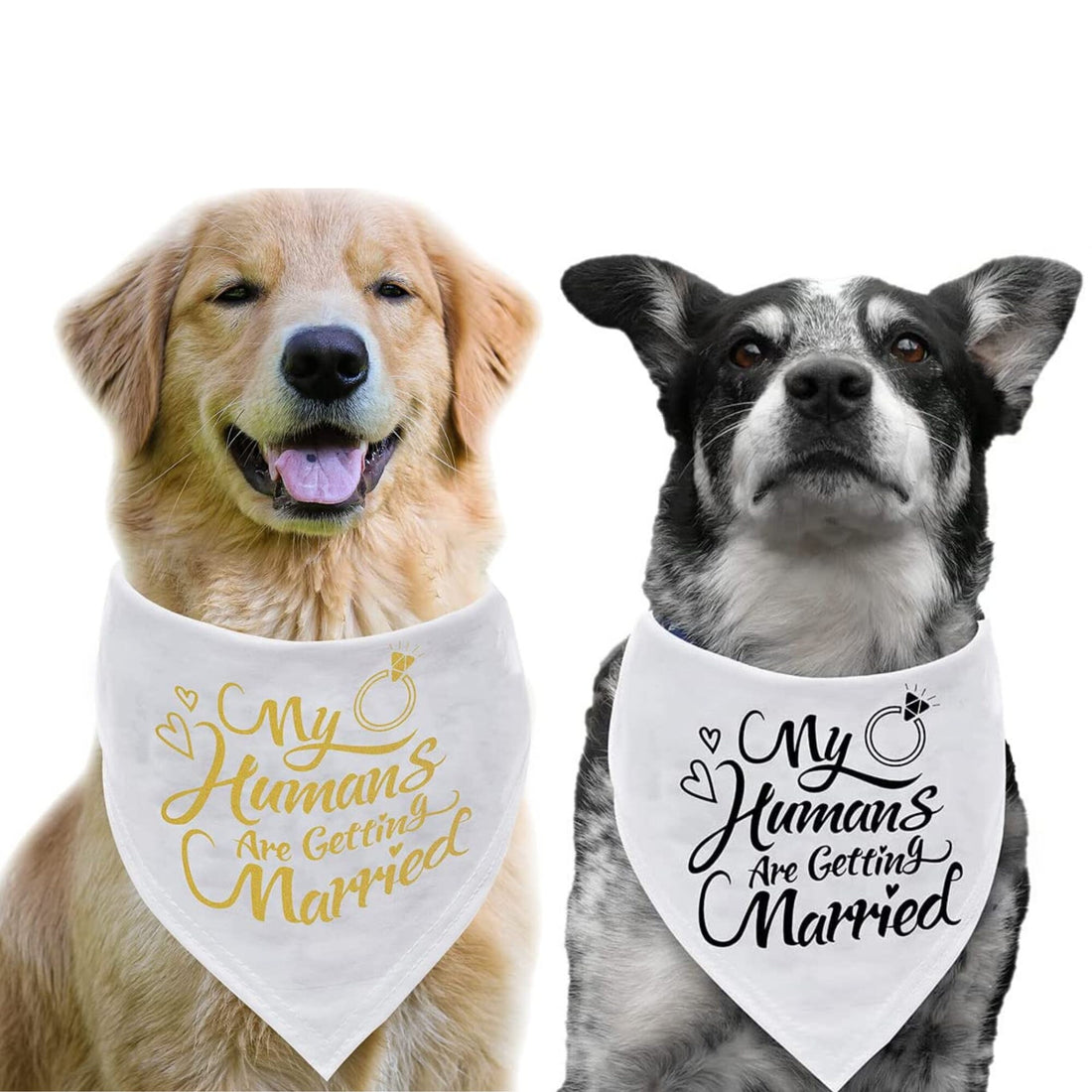 Custom Dog Bandana Wedding Engagement Sign – She Said Yes
