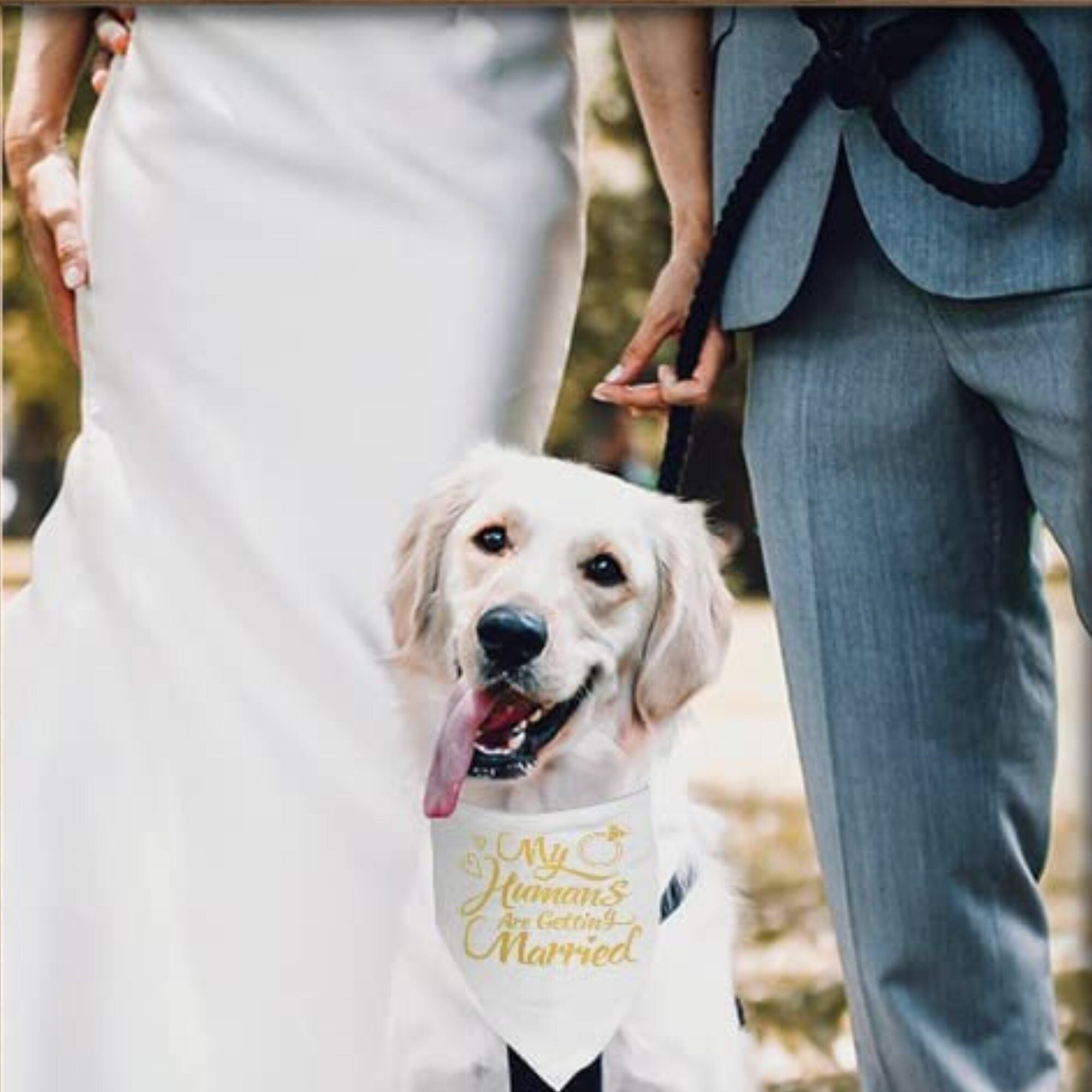 Custom Dog Bandana Wedding Engagement Sign – She Said Yes
