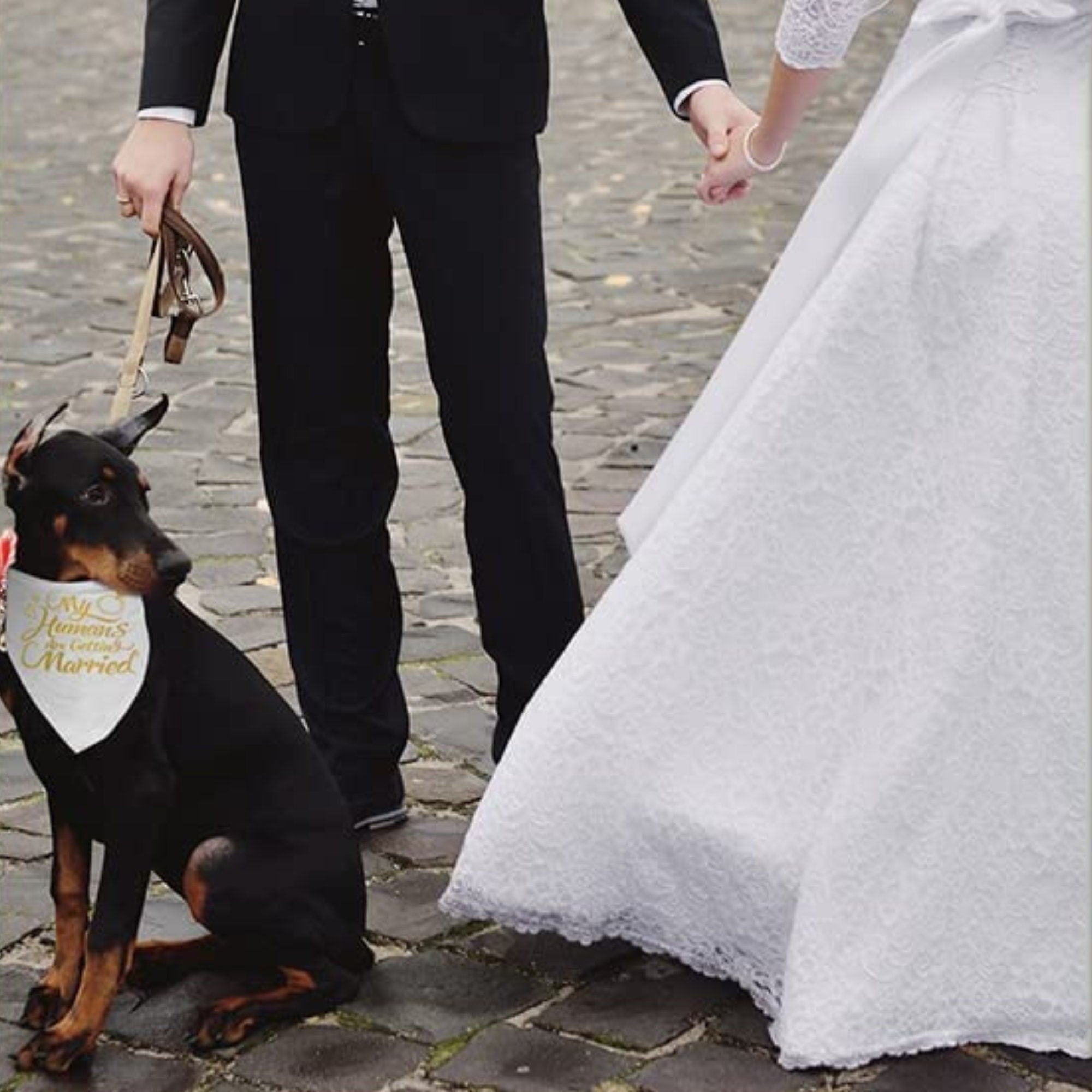 My Humans Are Getting Married – Pet Wedding Announcement Bandana