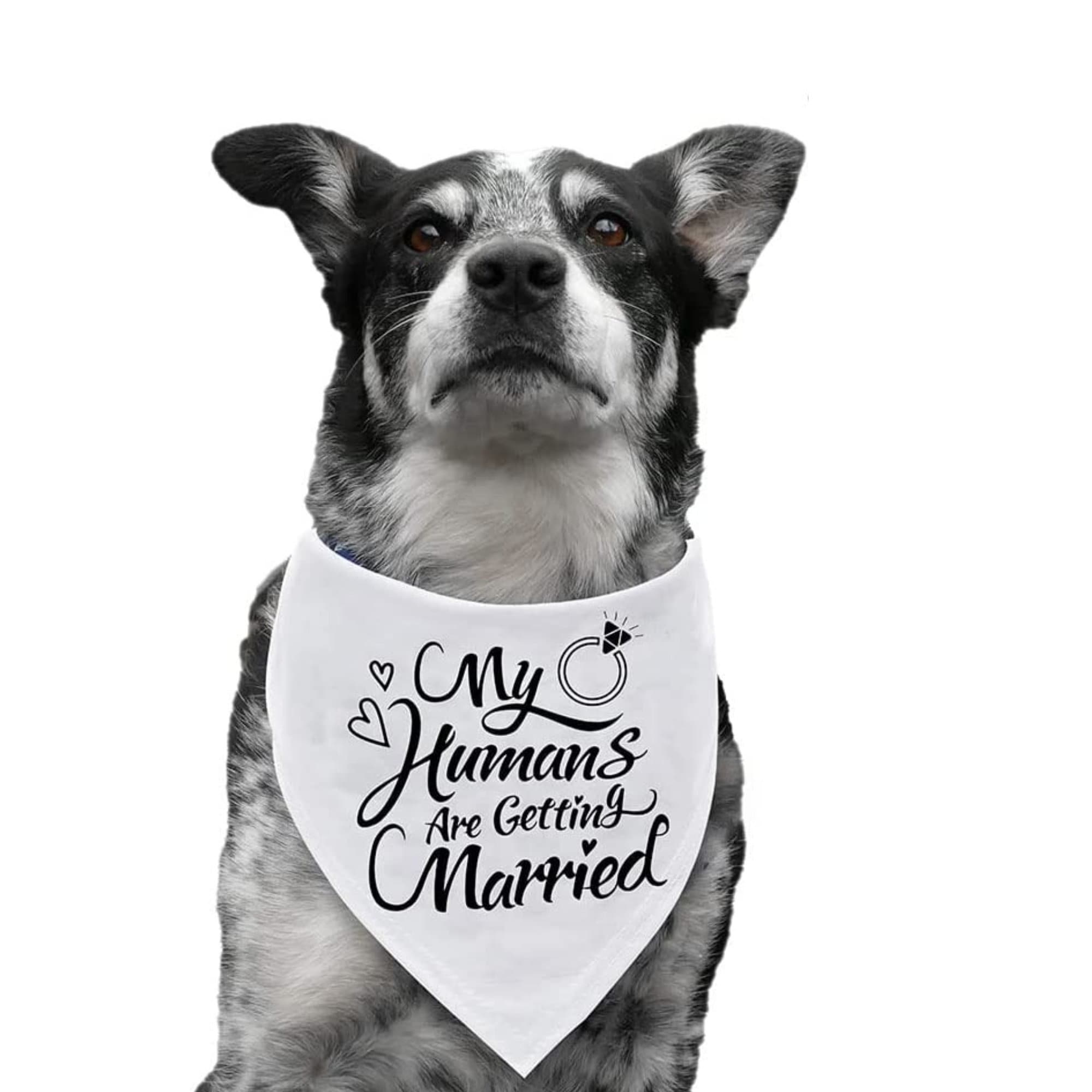 Custom Dog Bandana Wedding Engagement Sign – She Said Yes