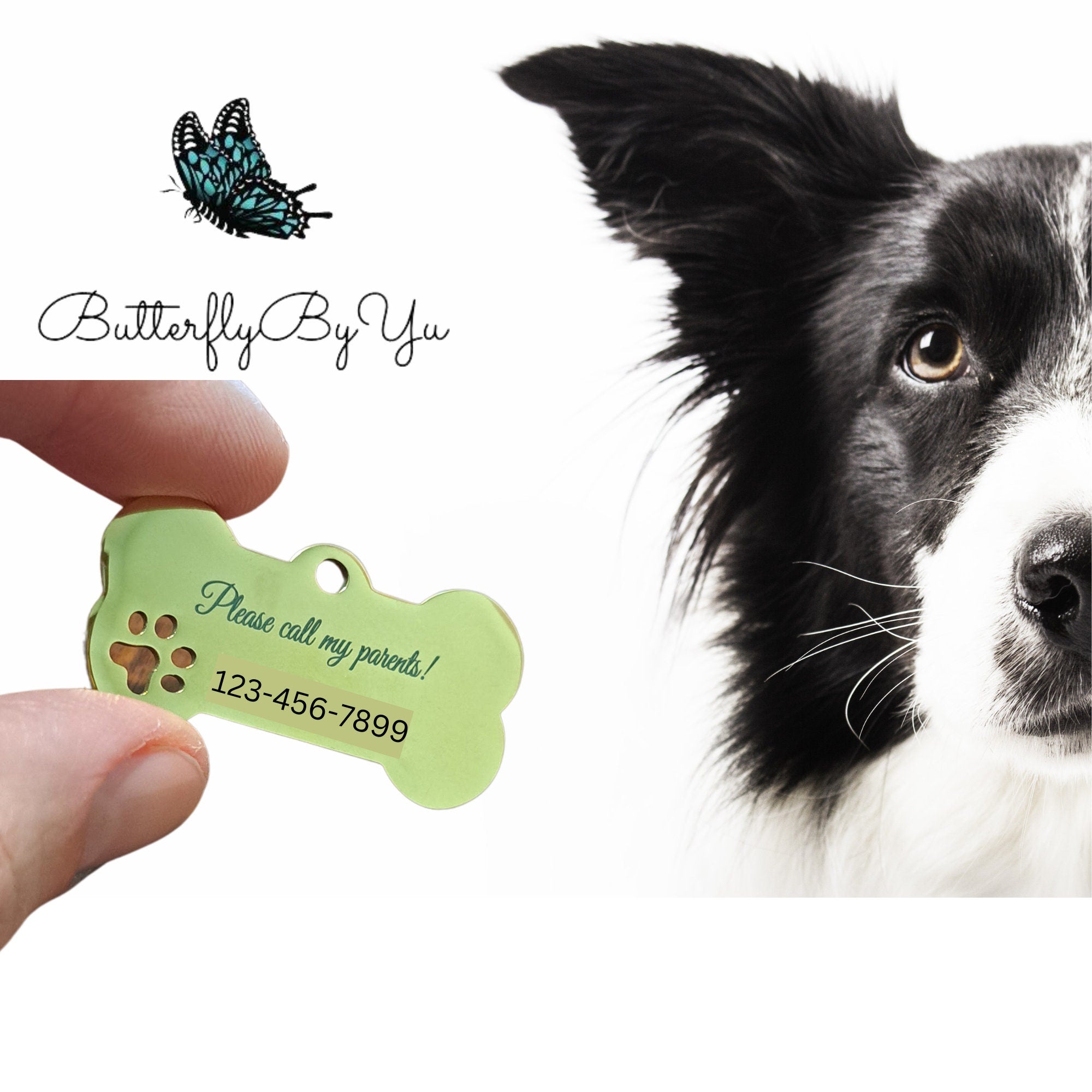 Dog Tag, Engraved Custom Pet, Dog, Cat ID Tags, Cute Personalized Bone Dogs Name