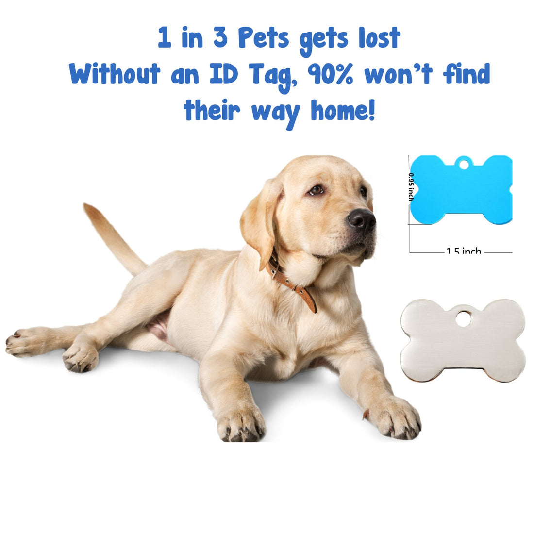 Customized Pet Tag, Laser Engraved, Personalized Anodized Aluminum Pet Tag/Dog Tag/Cat Tag W/Key Ring