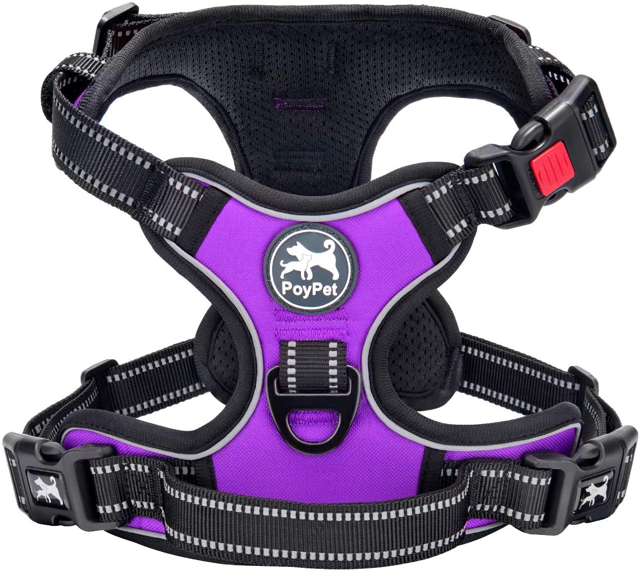 Dog Collars &amp; Harnesses