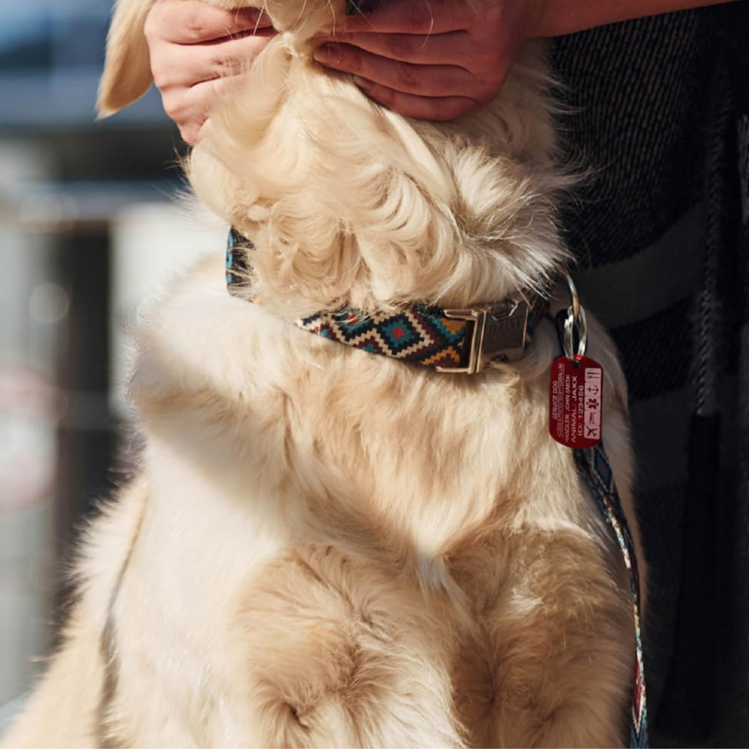 Service Dog ID Tag – Personalized Emergency Alert Necklace