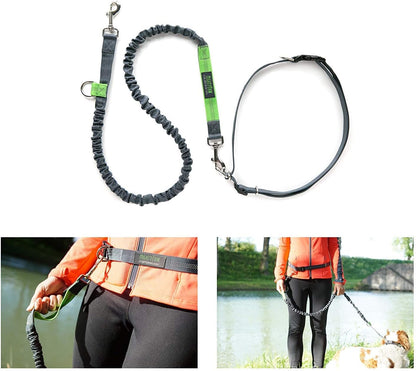Hands Free Dog Leash | Bungee Waist Leash for Dog Walking. Pet Running Hands Free Tether for Large, Medium &amp; Small Breeds. Pet Waist Belt (36&quot; - 48&quot;) up to 150 Lbs - Gray