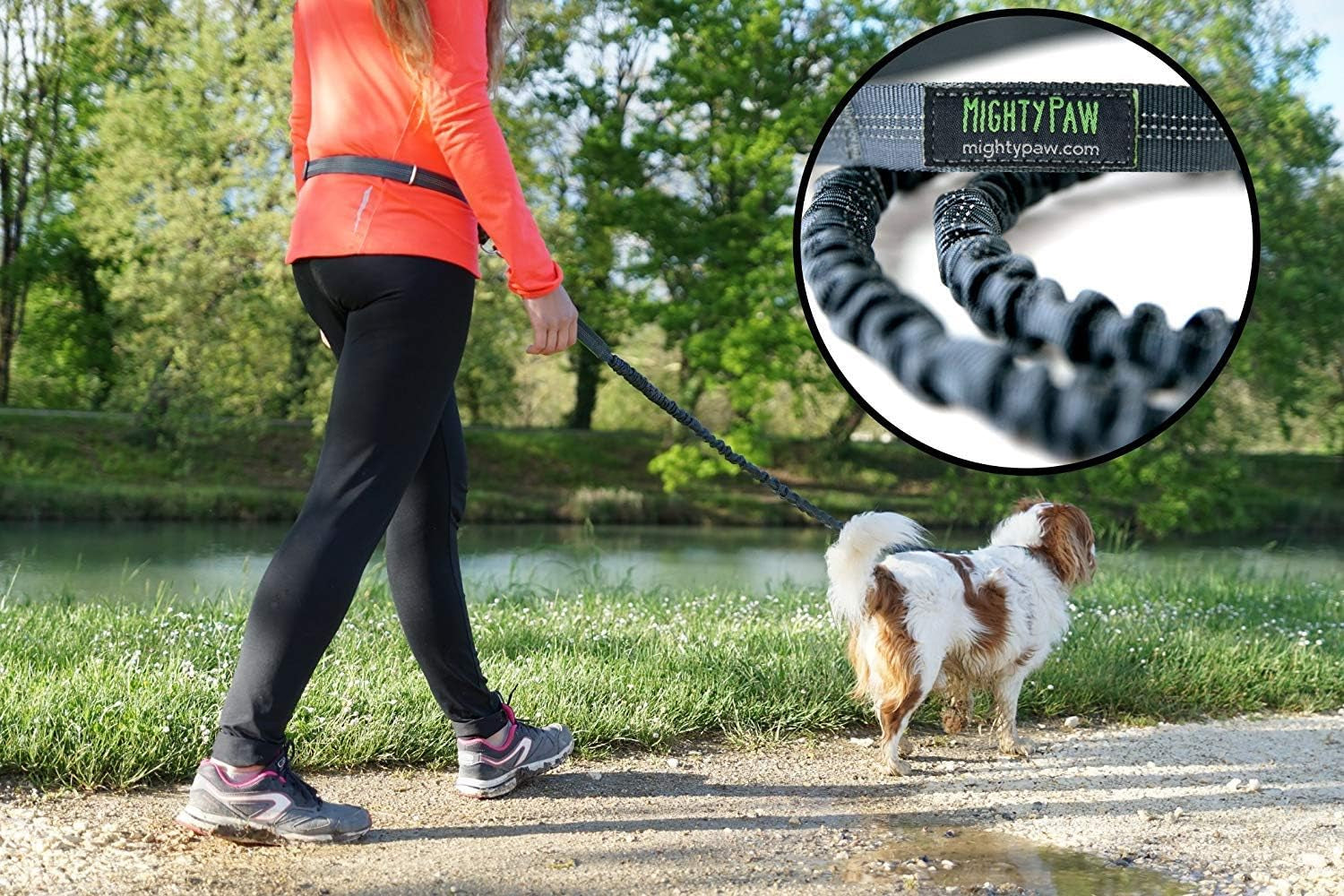 Hands Free Dog Leash | Bungee Waist Leash for Dog Walking. Pet Running Hands Free Tether for Large, Medium &amp; Small Breeds. Pet Waist Belt (36&quot; - 48&quot;) up to 150 Lbs - Gray