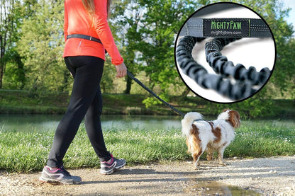 Hands Free Dog Leash | Bungee Waist Leash for Dog Walking. Pet Running Hands Free Tether for Large, Medium &amp; Small Breeds. Pet Waist Belt (36&quot; - 48&quot;) up to 150 Lbs - Gray