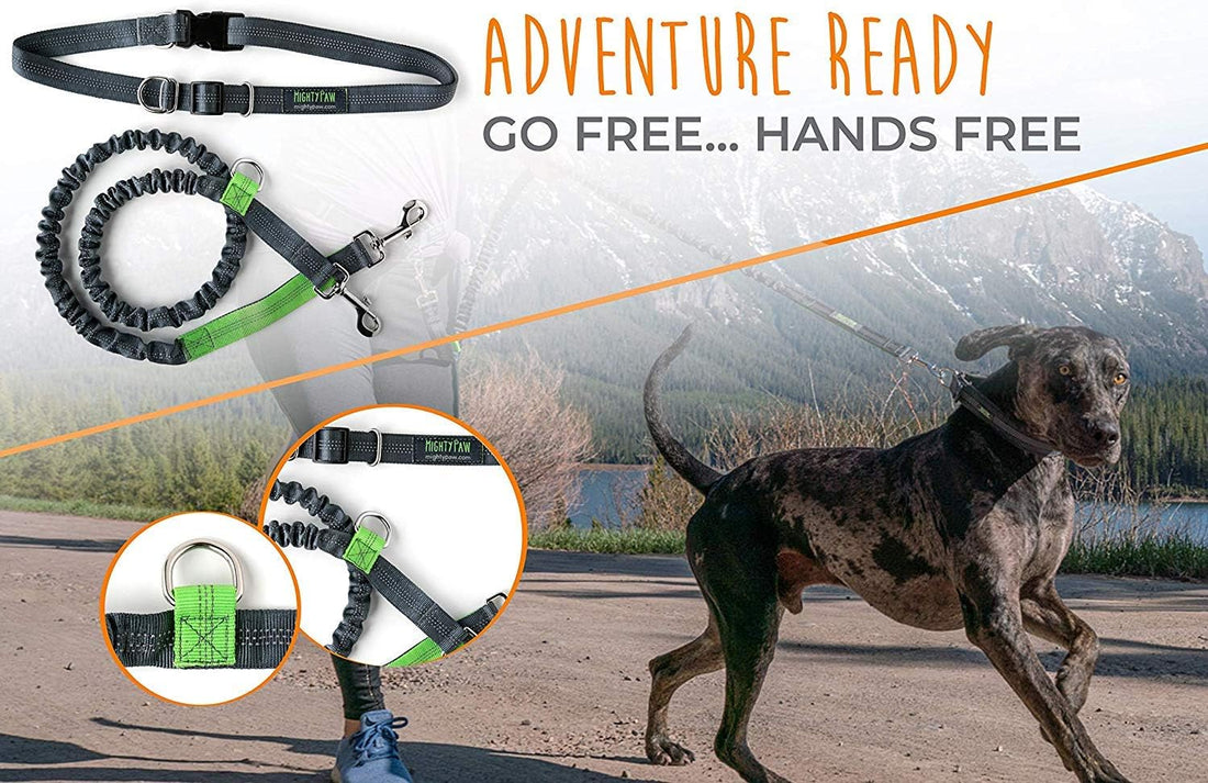 Hands Free Dog Leash | Bungee Waist Leash for Dog Walking. Pet Running Hands Free Tether for Large, Medium &amp; Small Breeds. Pet Waist Belt (36&quot; - 48&quot;) up to 150 Lbs - Gray
