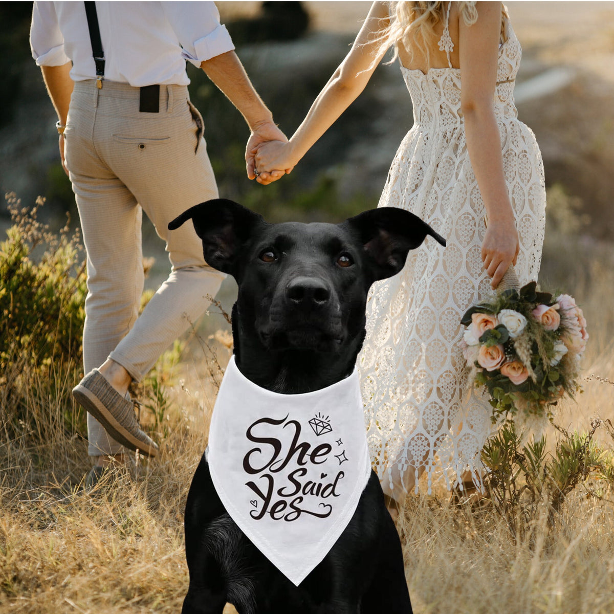 Dog wearing a white She Said Yes bandana with an engaged couple