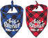 2 Pack Big Sister Brother Dog Bandana Buffalo Plaid Triangle Dog Scarf Pregnancy Announcement Bandana for Small Medium Large Dogs Pets (Big Brother)