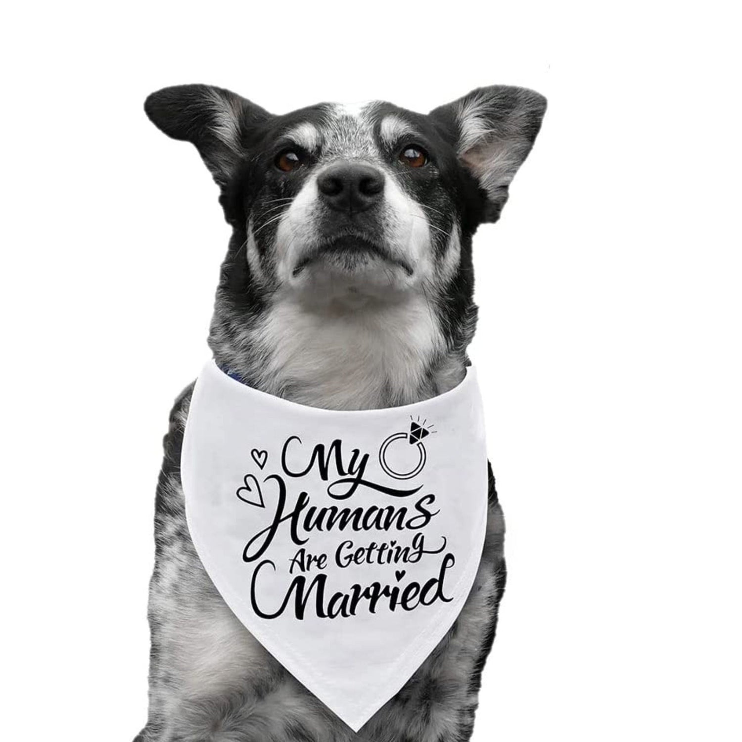 Custom Dog Bandana She Said Yes Engagement Pet Wedding Sign Announcement Marriage Bridal Gift Wedding Outfit For Dog