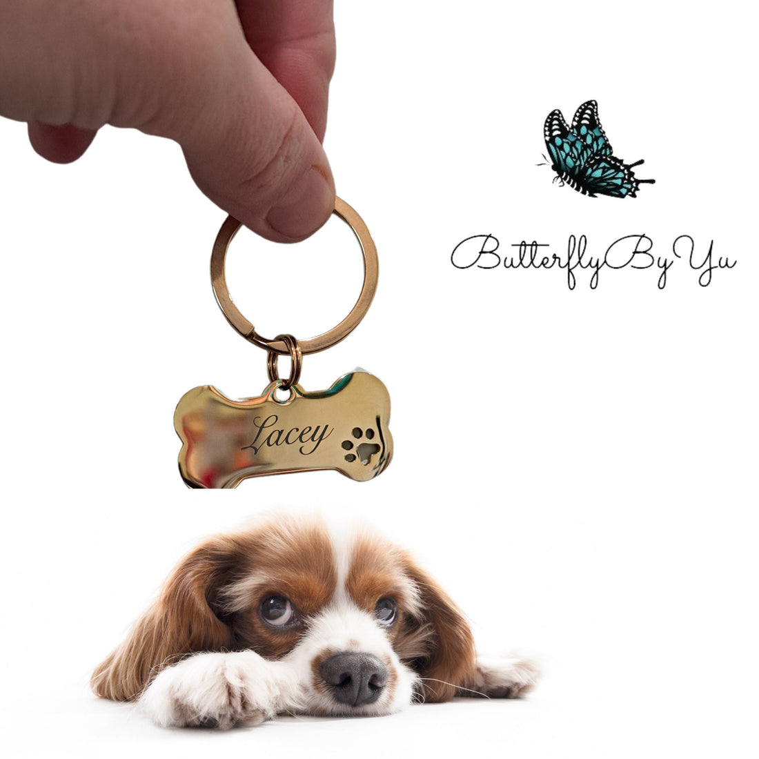 Dog Tag, Engraved Custom Pet, Dog, Cat ID Tags, Cute Personalized Bone Dogs Name